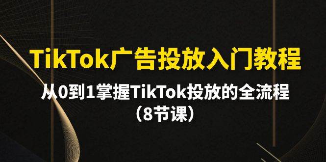 TikTok广告投放入门教程，从0到1掌握TikTok投放的全流程（8节课）-天麒项目网_中创网会员优质付费教程和创业项目大全