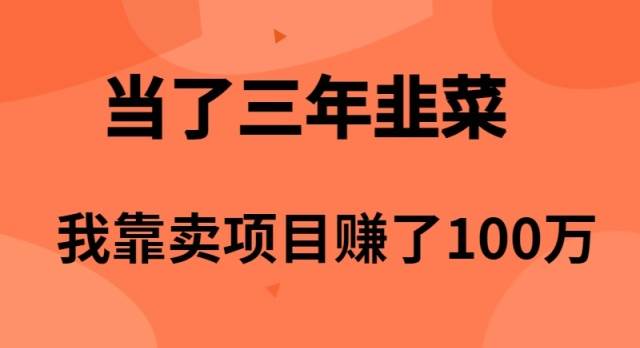 当了3年韭菜，我靠卖项目赚了100万-天麒项目网_中创网会员优质付费教程和创业项目大全