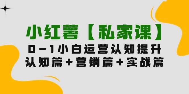 小红薯【私家课】0-1玩赚小红书内容营销，认知篇+营销篇+实战篇（11节课）-天麒项目网_中创网会员优质付费教程和创业项目大全