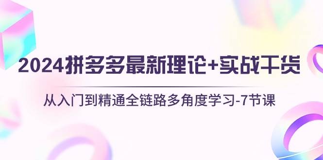 2024拼多多 最新理论+实战干货，从入门到精通全链路多角度学习-7节课-天麒项目网_中创网会员优质付费教程和创业项目大全