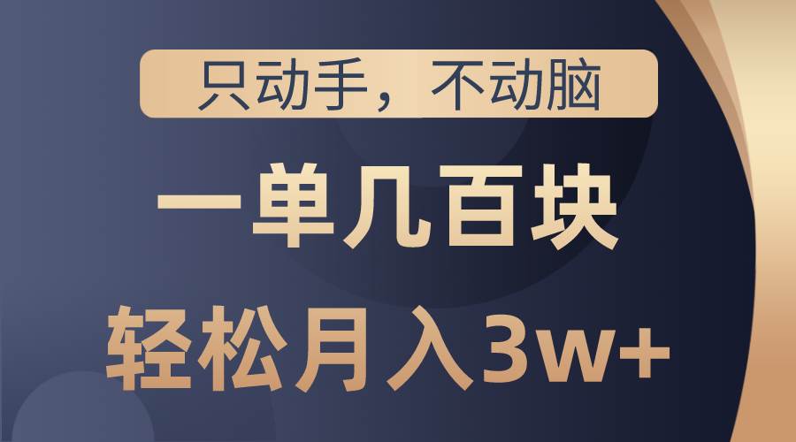 只动手不动脑，一单几百块，轻松月入3w+，看完就能直接操作，详细教程-天麒项目网_中创网会员优质付费教程和创业项目大全