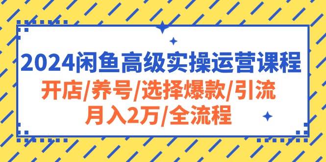 2024闲鱼高级实操运营课程：开店/养号/选择爆款/引流/月入2万/全流程-天麒项目网_中创网会员优质付费教程和创业项目大全