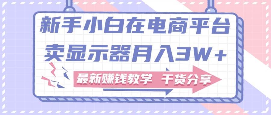 新手小白如何做到在电商平台卖显示器月入3W+，最新赚钱教学干货分享-天麒项目网_中创网会员优质付费教程和创业项目大全