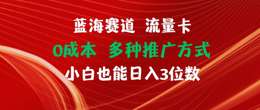 蓝海赛道 流量卡 0成本 小白也能日入三位数-天麒项目网_中创网会员优质付费教程和创业项目大全