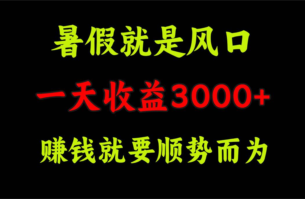 一天收益3000+ 赚钱就是顺势而为，暑假就是风口-天麒项目网_中创网会员优质付费教程和创业项目大全