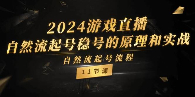 2024游戏直播-自然流起号稳号的原理和实战，自然流起号流程（11节）-天麒项目网_中创网会员优质付费教程和创业项目大全