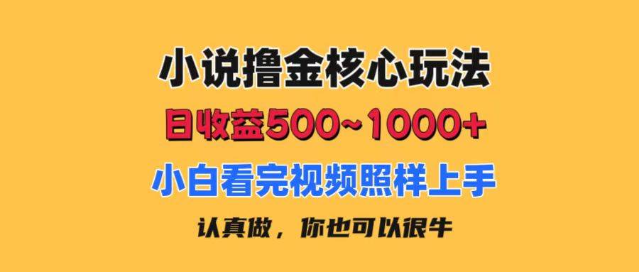 小说撸金核心玩法，日收益500-1000+，小白看完照样上手，0成本有手就行-天麒项目网_中创网会员优质付费教程和创业项目大全