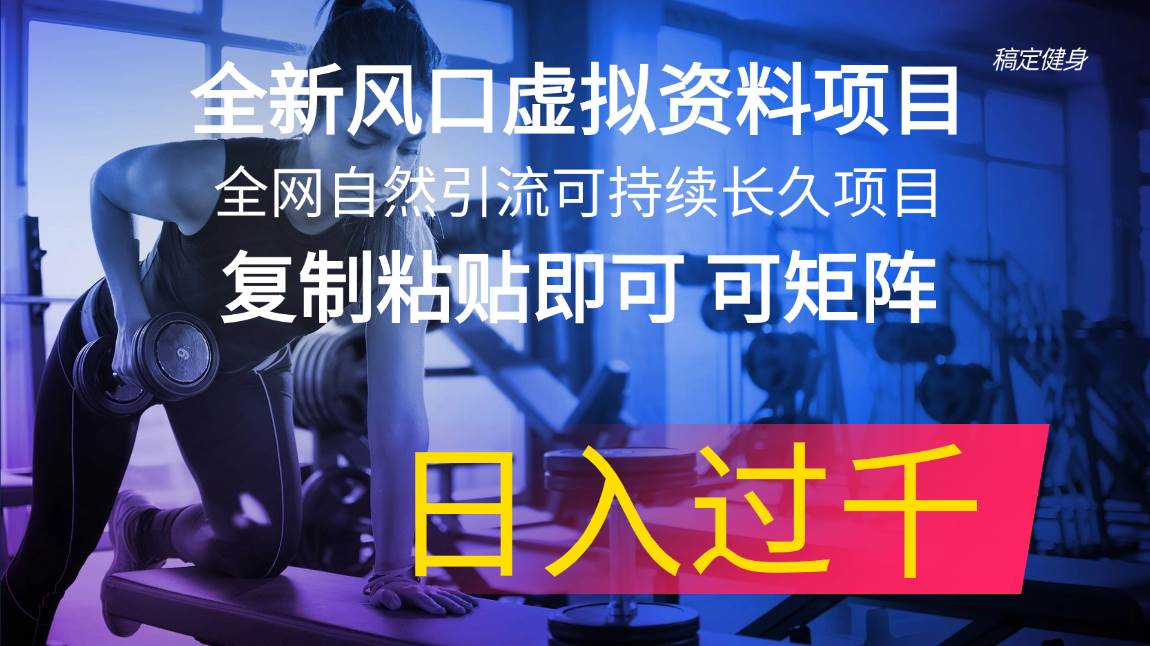 全新风口虚拟资料项目 全网自然引流可持续长久项目 复制粘贴即可可矩阵…-天麒项目网_中创网会员优质付费教程和创业项目大全