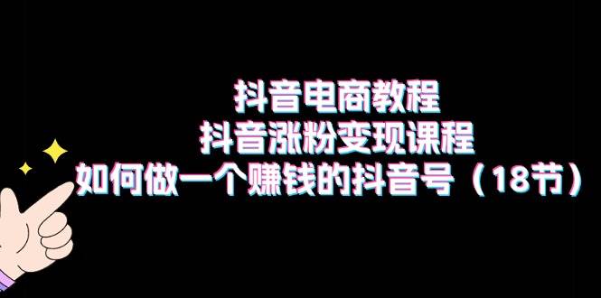 抖音电商教程：抖音涨粉变现课程：如何做一个赚钱的抖音号（18节）-天麒项目网_中创网会员优质付费教程和创业项目大全