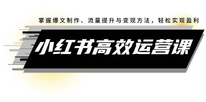 小红书高效运营课：掌握爆文制作、流量提升与变现方法，轻松实现盈利-天麒项目网_中创网会员优质付费教程和创业项目大全