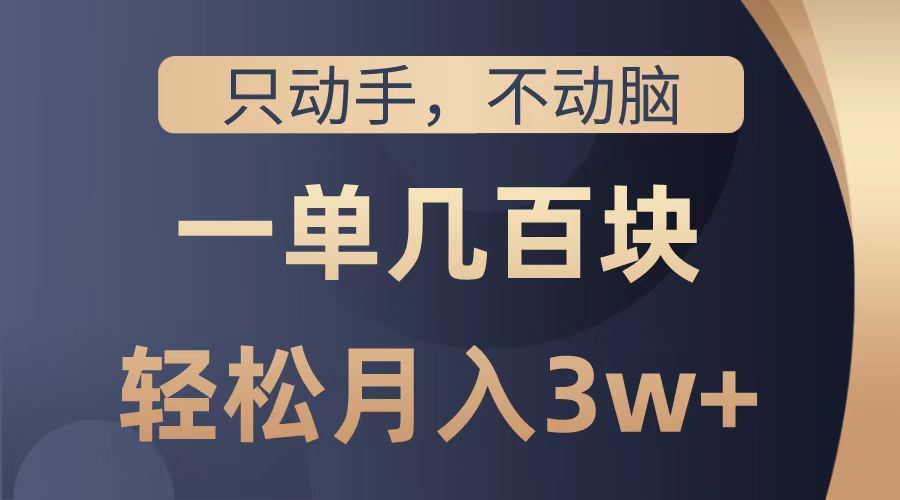 只动手不动脑，一单几百块，轻松月入2w+，看完就能直接操作，详细教程-天麒项目网_中创网会员优质付费教程和创业项目大全