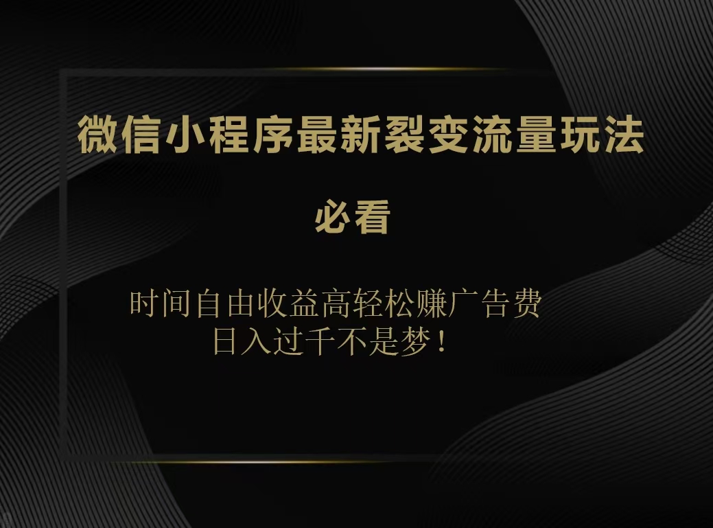 微信小程序最新裂变流量玩法，时间自由收益高轻松赚广告费，日入200-500+-天麒项目网_中创网会员优质付费教程和创业项目大全