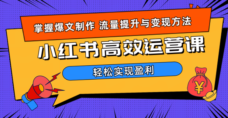 价值980小红书运营操作指南-天麒项目网_中创网会员优质付费教程和创业项目大全