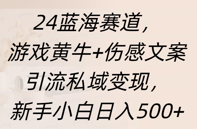 24蓝海赛道，游戏黄牛+伤感文案引流私域变现，新手日入500+-天麒项目网_中创网会员优质付费教程和创业项目大全