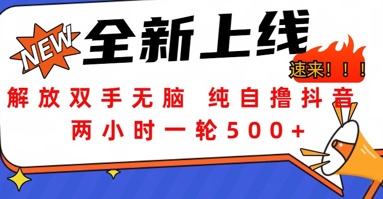 解放双手无脑 纯自撸抖音 两小时一轮500+-天麒项目网_中创网会员优质付费教程和创业项目大全