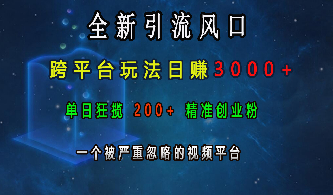 全新引流风口，跨平台玩法日赚3000+，单日狂揽200+精准创业粉，一个被严重忽略的视频平台-天麒项目网_中创网会员优质付费教程和创业项目大全