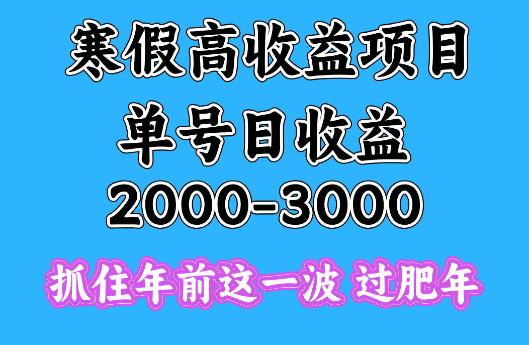 寒假期间一天收益2000-3000+，抓住年前这一波-天麒项目网_中创网会员优质付费教程和创业项目大全