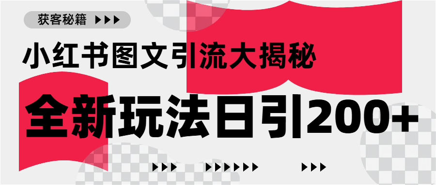 小红书图文引流，只需一张图片即可撬动百万流量，日引200+创业粉-天麒项目网_中创网会员优质付费教程和创业项目大全