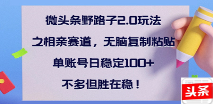 全网首发微头条野路子2.0玩法之相亲赛道，无脑搬砖复制粘贴，单账号日稳定300+保姆级教程-天麒项目网_中创网会员优质付费教程和创业项目大全