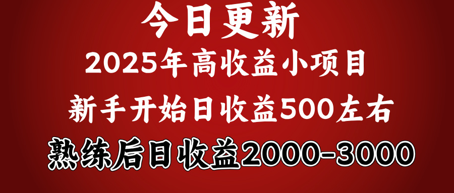 2025开年好项目，新手日收益500+ 熟练掌握后，日收益平均2000多-天麒项目网_中创网会员优质付费教程和创业项目大全