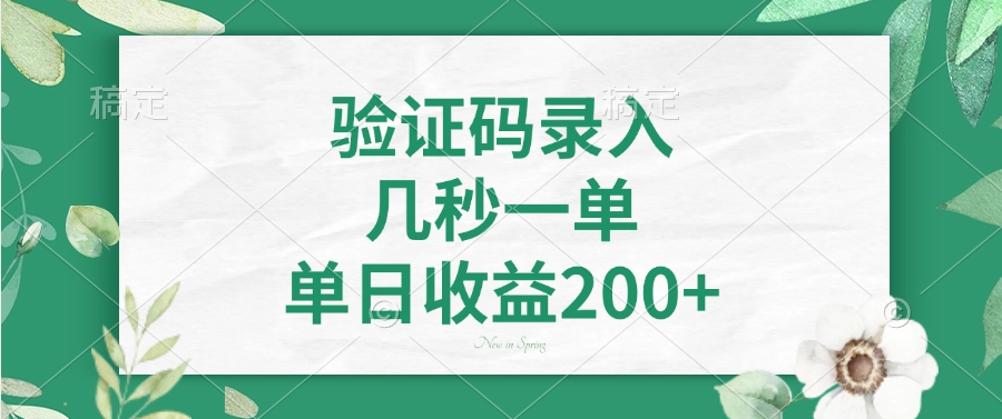 验证码录入，几秒一单，单日收益200+-天麒项目网_中创网会员优质付费教程和创业项目大全