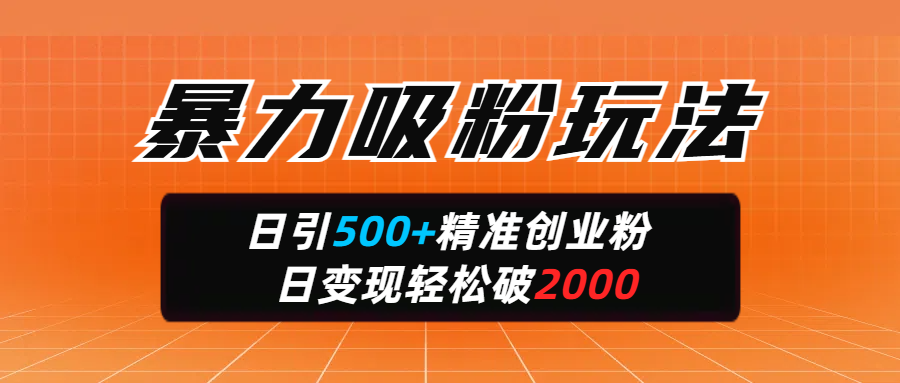 暴力吸粉玩法，日引500+精准创业粉，日变现轻松破2000-天麒项目网_中创网会员优质付费教程和创业项目大全