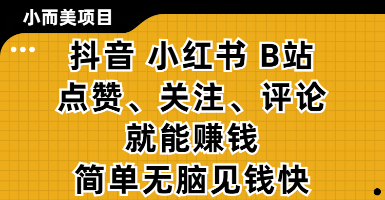 小而美的项目，抖音、小红书、B站视频点赞、关注、评论就能赚钱，简单无脑立见收益！妥妥的零撸项目-天麒项目网_中创网会员优质付费教程和创业项目大全