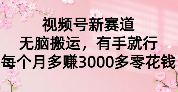 视频号新赛道，无脑搬运，有手就行，每个月多赚3000多零花钱-天麒项目网_中创网会员优质付费教程和创业项目大全